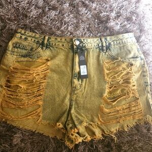 Fashion Nova Plus Denim Shorts